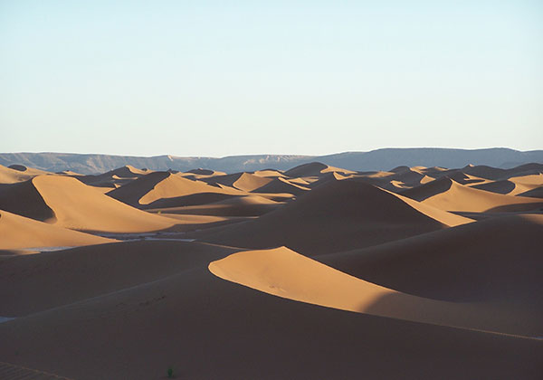 Oasis et Dunes du Drâa